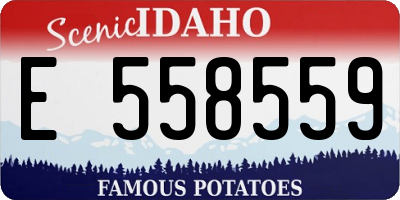ID license plate E558559