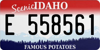 ID license plate E558561