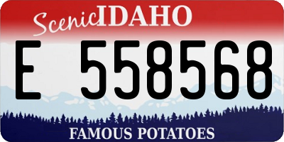 ID license plate E558568