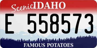 ID license plate E558573