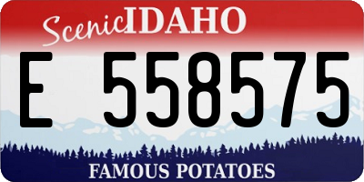 ID license plate E558575
