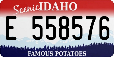 ID license plate E558576