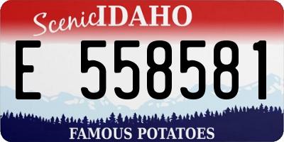 ID license plate E558581