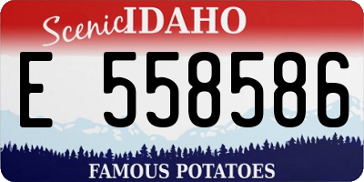 ID license plate E558586
