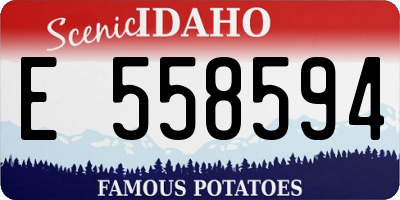 ID license plate E558594
