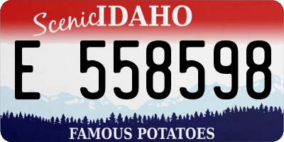 ID license plate E558598