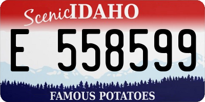 ID license plate E558599