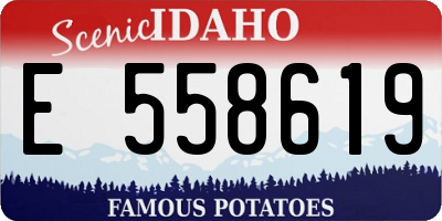 ID license plate E558619