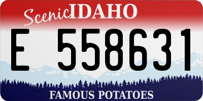 ID license plate E558631