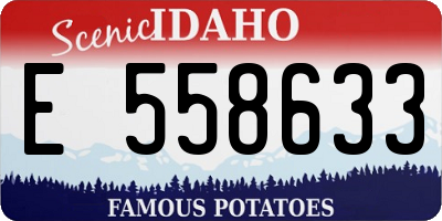 ID license plate E558633