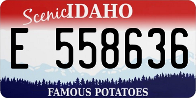 ID license plate E558636