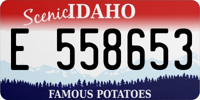 ID license plate E558653