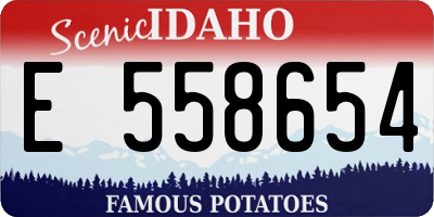 ID license plate E558654