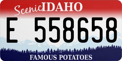 ID license plate E558658
