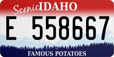 ID license plate E558667
