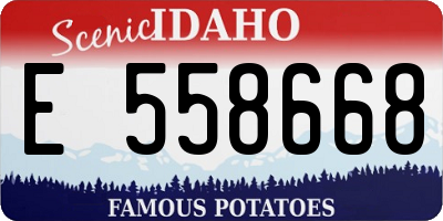 ID license plate E558668