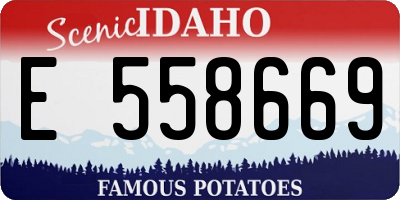 ID license plate E558669