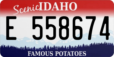 ID license plate E558674