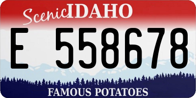 ID license plate E558678