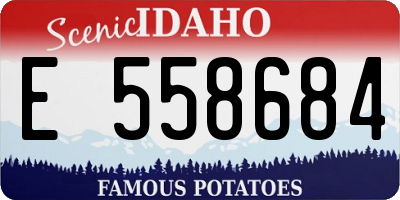 ID license plate E558684