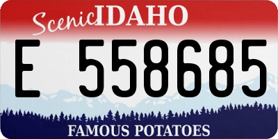 ID license plate E558685
