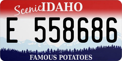 ID license plate E558686