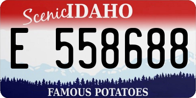 ID license plate E558688