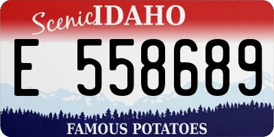 ID license plate E558689