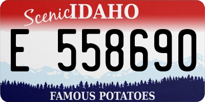 ID license plate E558690