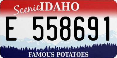 ID license plate E558691