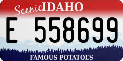 ID license plate E558699