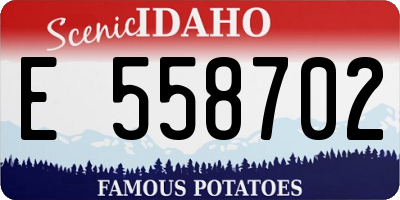 ID license plate E558702