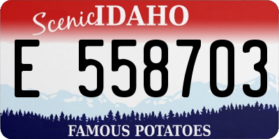 ID license plate E558703