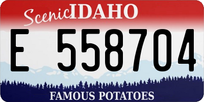 ID license plate E558704