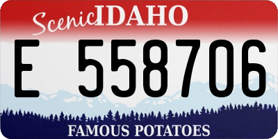 ID license plate E558706
