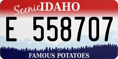 ID license plate E558707