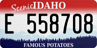 ID license plate E558708
