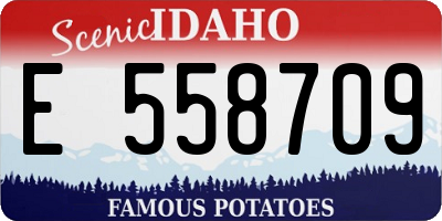 ID license plate E558709