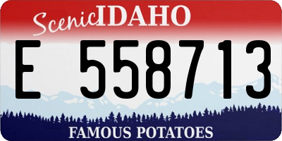 ID license plate E558713