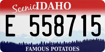 ID license plate E558715