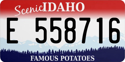 ID license plate E558716