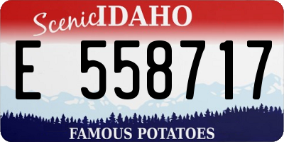 ID license plate E558717