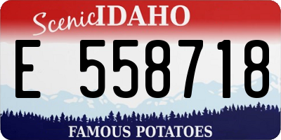 ID license plate E558718