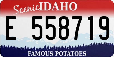 ID license plate E558719