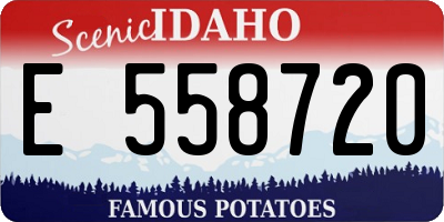 ID license plate E558720