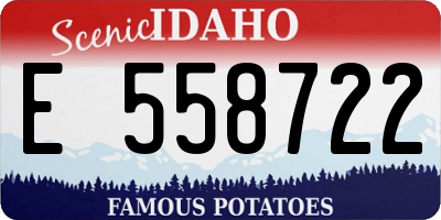 ID license plate E558722