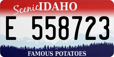 ID license plate E558723
