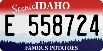 ID license plate E558724