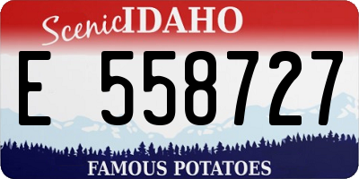 ID license plate E558727