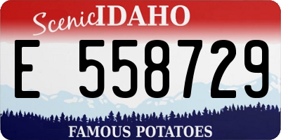 ID license plate E558729